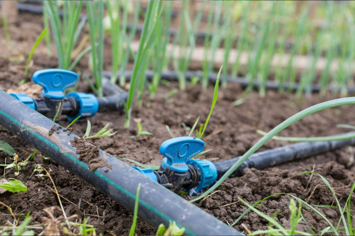 Système d’irrigation dans un champ agricole