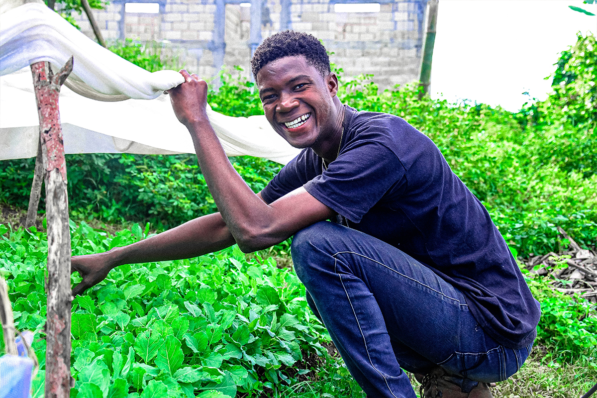 Jeunes plants en pépinière agricole
